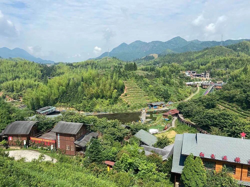 中农促茶产业分会副会长李桂群一行赴福建省大田县调研茶旅发展