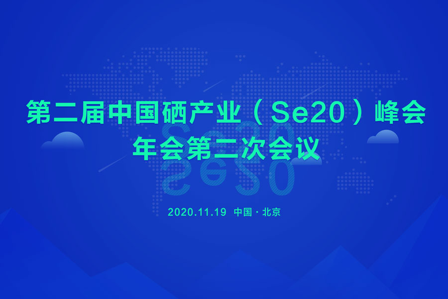 第二届中国硒产业（Se20）峰会年会第二次会议