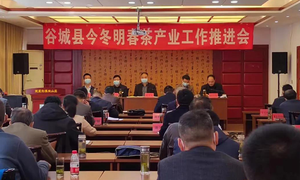 会员动态丨谷城县今冬明春茶产业工作推进会在玉皇剑顺利召开