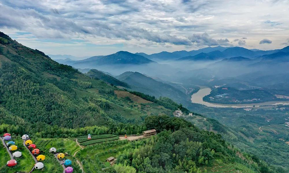 茶资讯丨福建省获批两项国家级标准化建设项目