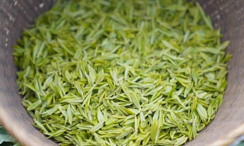 茶资讯丨明年3月起西湖龙井茶将实施专用标识追溯管理