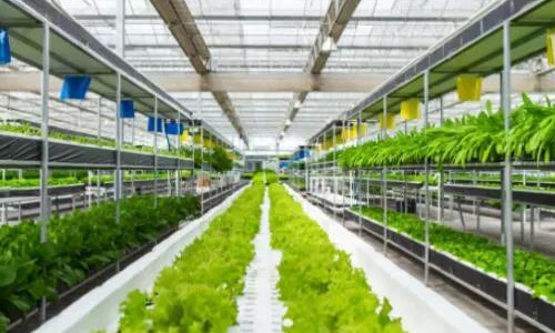 三农资讯丨数字化智慧绿色农业获政策加持，农业转型将迎新赛道