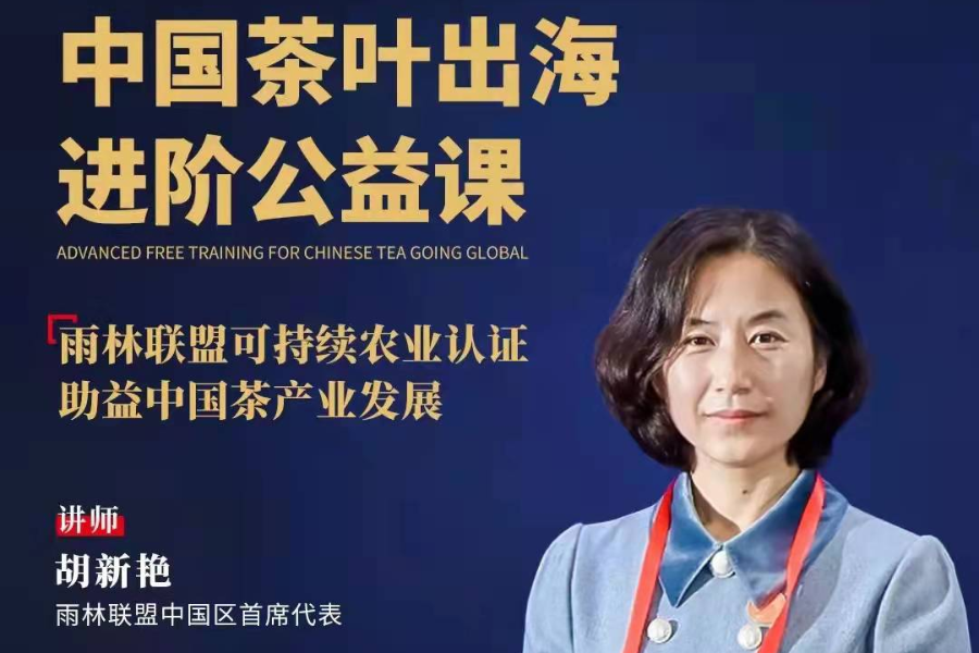 中国茶叶出海进阶公益课今日开课