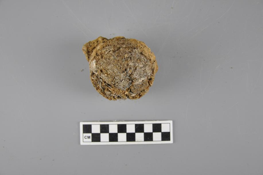 2,400-Year-Old Tea Residue Found in China