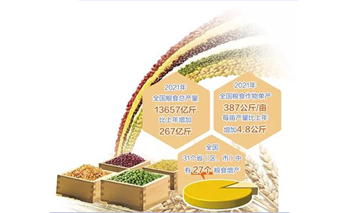 13657亿斤！2021年全国粮食总产量再创新高