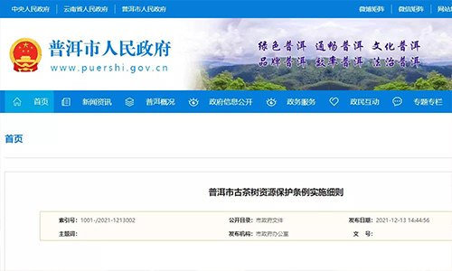 1月实施！《普洱市古茶树资源保护条例实施细则》公布
