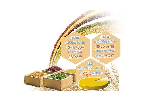 13657亿斤！2021年全国粮食总产量再创新高