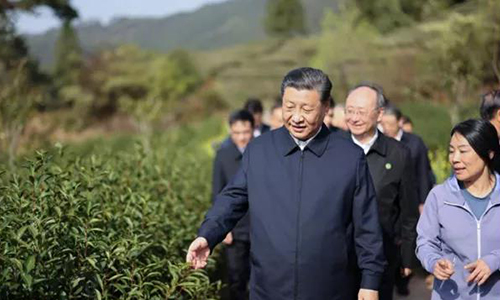 2021中国茶叶行业十大新闻正式发布！