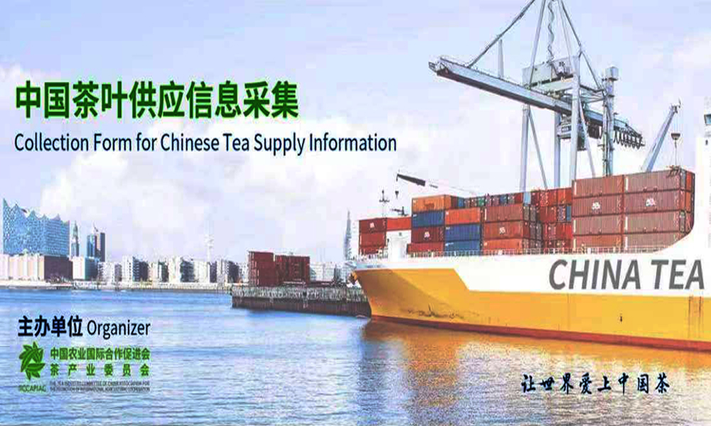 桥接国际市场，助力茶叶出海——中国茶叶进出口供求信息采集系统上线！