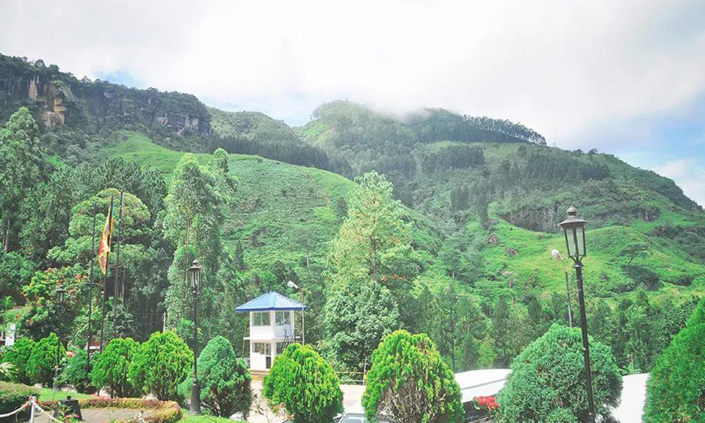 环球观茶丨斯里兰卡茶叶局：2021年斯里兰卡茶叶出口创收13亿美元