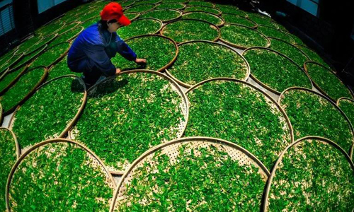 春茶临考，这四项准备做好了吗？