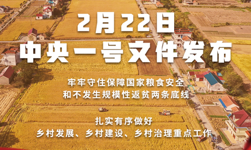 全文丨2022年中央一号文件