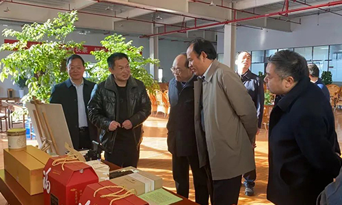 陕西省政协委员袁学武一行深入安康调研当地富硒企业发展