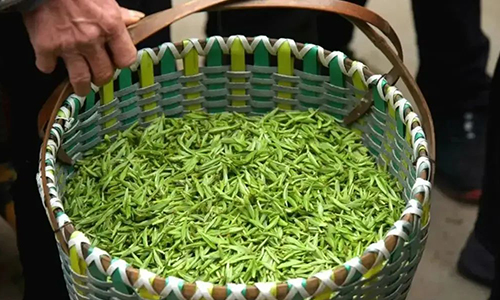 大咖专访丨屠幼英:春茶茶青价格上涨的背后，不是一片叫好声