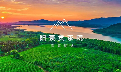 百条红色茶乡旅游精品路线丨江苏宜兴：茗园叠翠 星火燎原