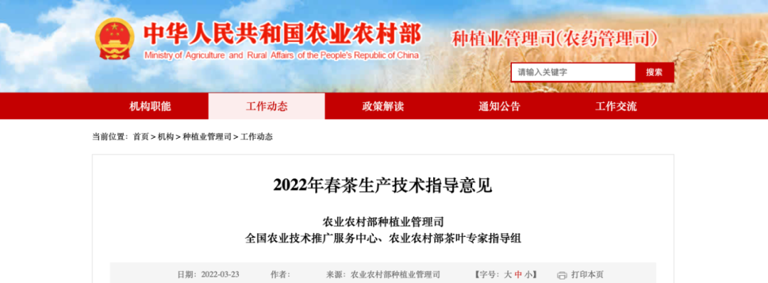 《2022年春茶生产技术指导意见》发布