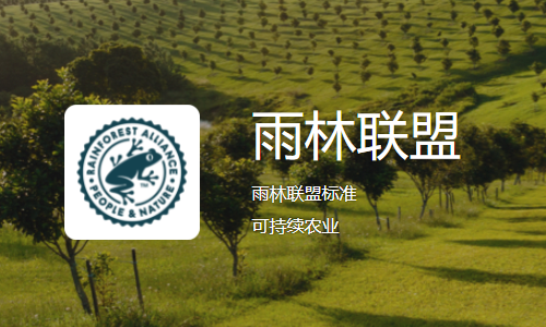 雨林联盟：茶叶可追溯性的最新情况和行动要求