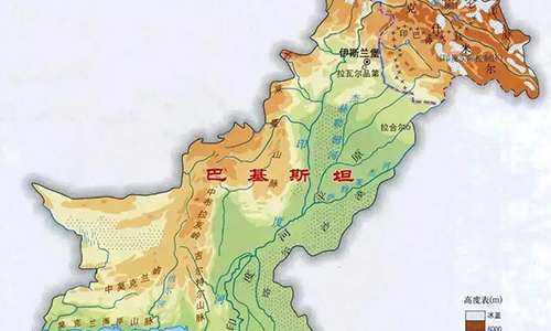 环球观茶丨巴基斯坦计划扩大茶叶种植