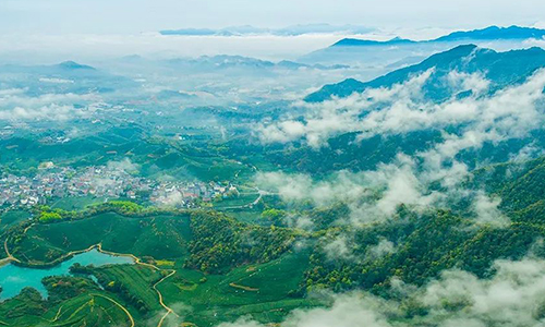 百条红色茶乡旅游精品路线丨浙江西湖：龙坞茶镇红色茶乡旅游精品路线