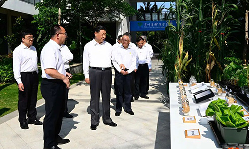 习近平：只有攥紧中国种子，才能端稳中国饭碗