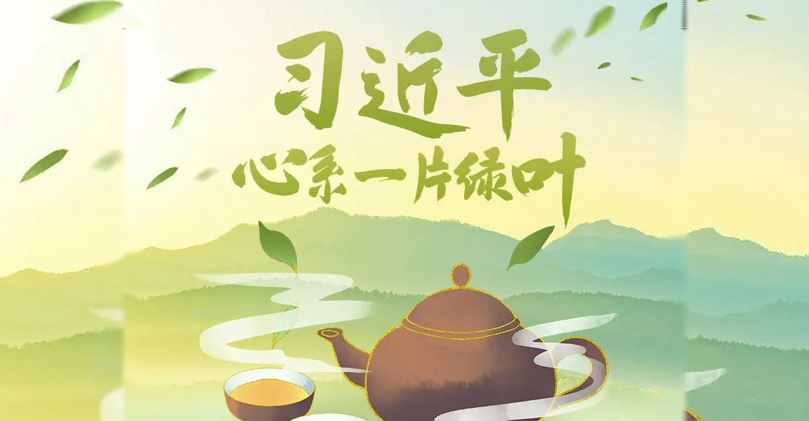 【新华社】小小茶叶，在习近平总书记心中有着很重的分量！