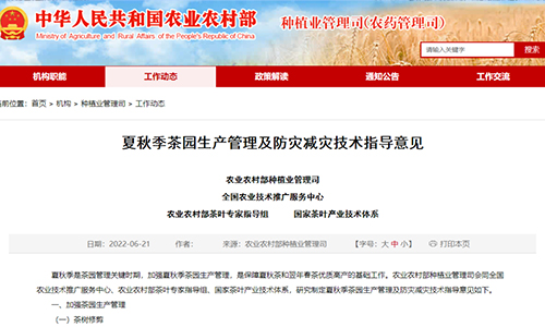农业农村部：夏秋季茶园生产管理及防灾减灾技术指导意见