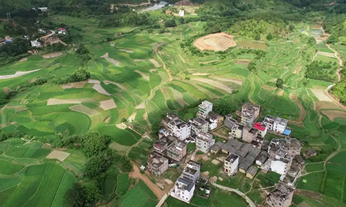 江西于都：发展富硒稻米产业 助力乡村全面振兴