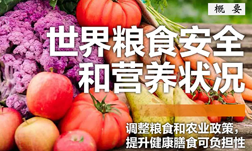 《2022年世界粮食安全和营养状况》发布！