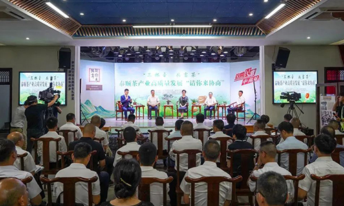 在《采茶舞曲》创作地，泰顺县长和政协委员共品“三杯香”