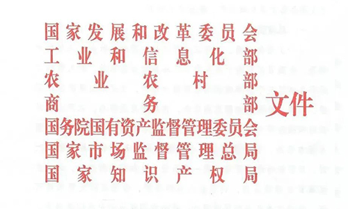 重磅！国家发展改革委等八部门发布《关于新时代推进品牌建设的指导意见》
