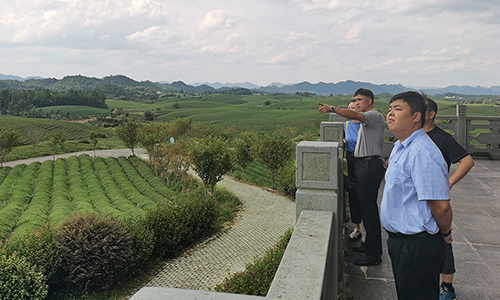中国农业国际合作促进会茶产业分会一行赴贵州湄潭县调研区域特色茶叶公园打造及茶叶出口情况