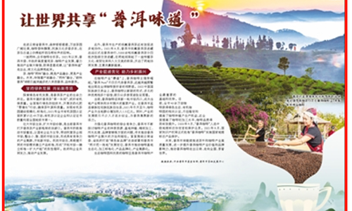 《人民日报》报道：让世界共享“普洱味道”
