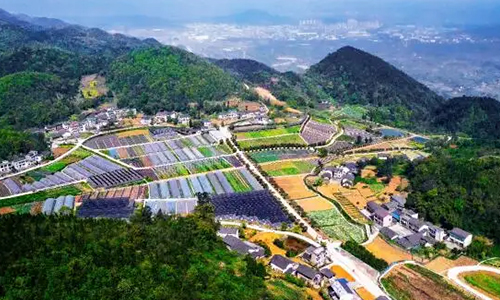 2022重庆地理标志农产品保护名单公布