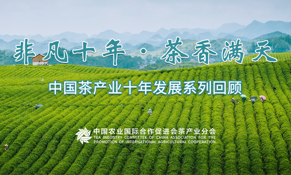 “非凡十年·茶香满天”中国茶产业十年发展系列回顾