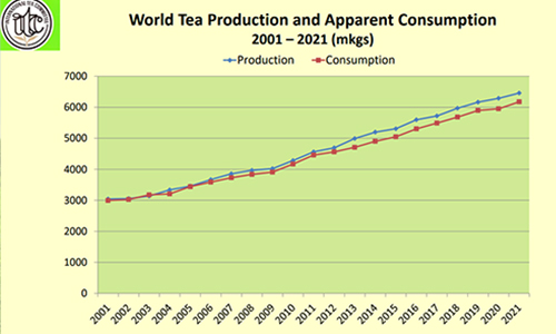 环球观茶丨全球红茶生产和消费面临的挑战