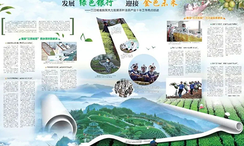 广西三江：发展“绿色银行” 迎接“金色未来”