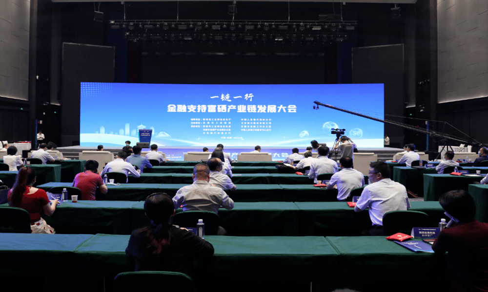 "一链一行"金融支持富硒产业链发展大会在安康举办