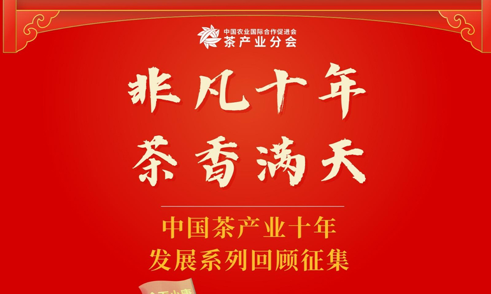 喜迎二十大丨“非凡十年·茶香满天”中国茶产业十年发展系列回顾