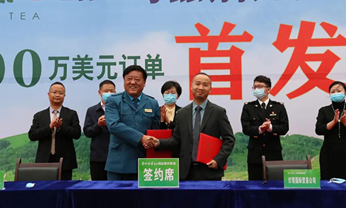 助力黔茶再出海！湄潭县栗香茶业6000万美元订单举行首发仪式