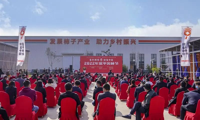 “富平柿饼，甜蜜中国——2022年富平尖柿节”盛大启幕