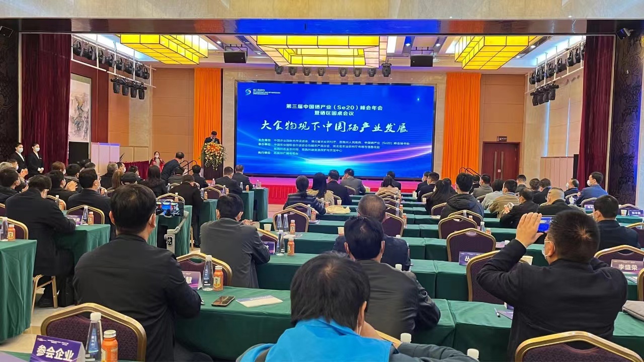 “硒”望无限-第三届中国硒产业（Se20）峰会年会暨硒区圆桌会议圆满成功