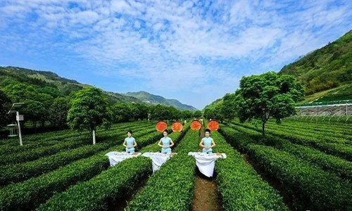 安康市两地入选陕西省乡村振兴教育培训现场教学基地名单