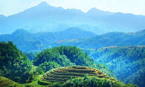 冬季，是决定来年茶叶品质的关键所在