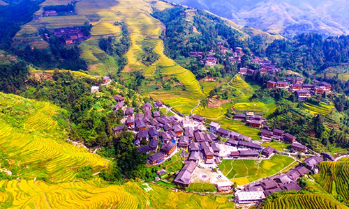 茶文化魅力彰显！我国两村庄入选世界“最佳旅游乡村”