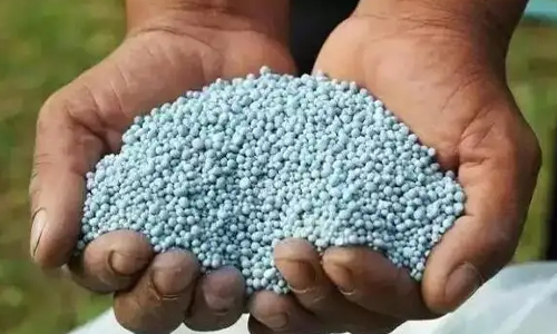 农业农村部印发到2025年化学农药、化肥减量化行动方案