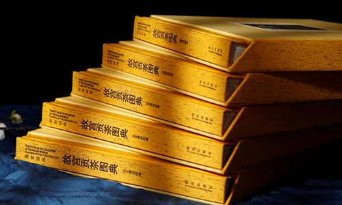 2022年陕西茶业界十大新闻事件