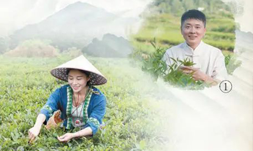 人民日报点赞武夷山制茶人聂霖：“鼓励更多青年‘零门槛’学习非遗技艺”