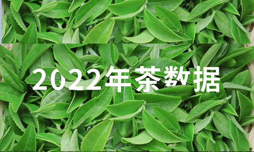 数据丨2022年度中国茶叶进出口数据