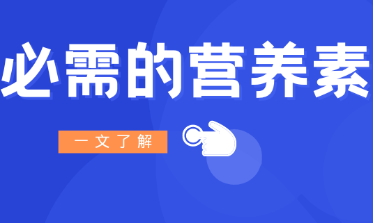 营养科普 | 人体必需的营养素，你都知道吗？