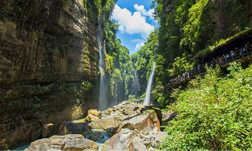 走进湖北茶叶C位恩施，寻一杯醉美茶味